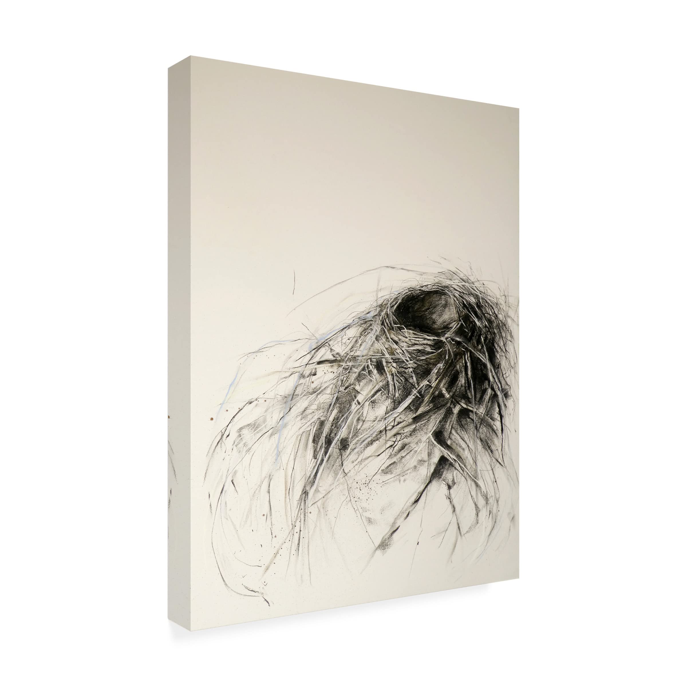 Trademark Fine Art 'Sanctuary' Canvas Wall Art Print by Kris Ekstrand - Modern Home Decor for Living Room, Bedroom & Office