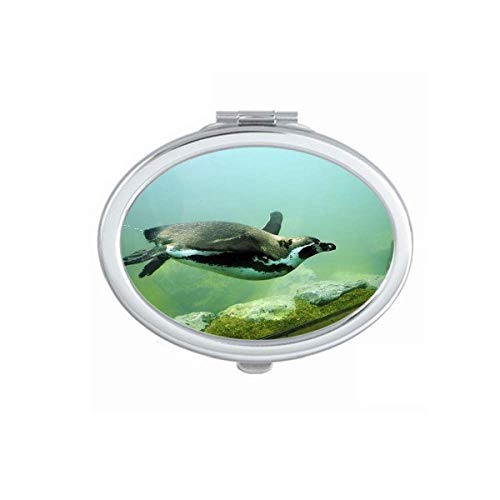 DIYthinker Ocean Antarctic Penguin Science Nature Picture Mirror - Portable Foldable Double-Sided Hand Mirror for Makeup, Travel & Home Decor | Perfect for Vanity, Gift & Travel Accessories