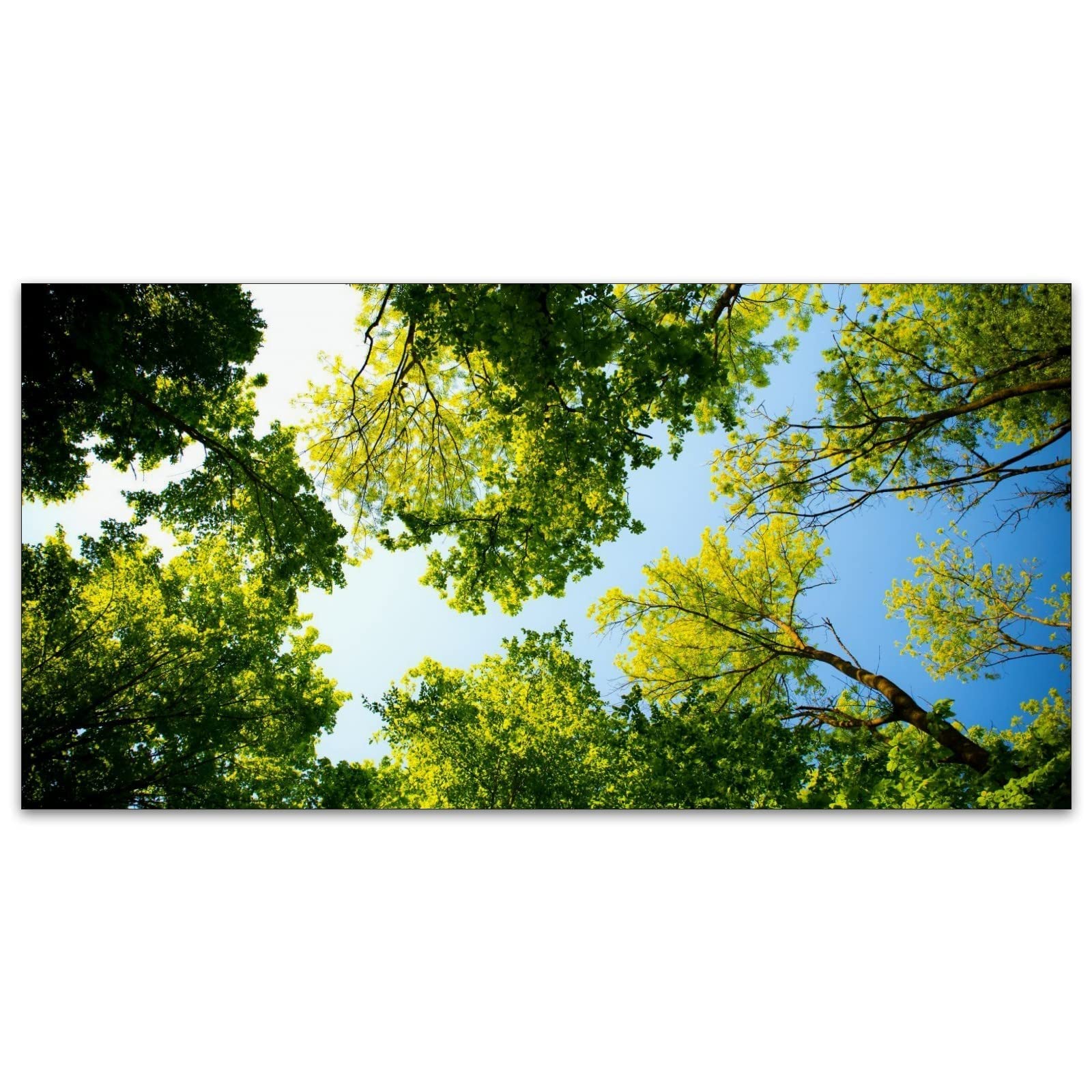 Tall Trees Fluorescent Lamp Shades for Home, Office & Classroom - Reduces Eye Strain & Headaches | Ceiling Light Cover for Indoor Spaces | Perfect for Workspaces, Study Areas & Commercial Lighting