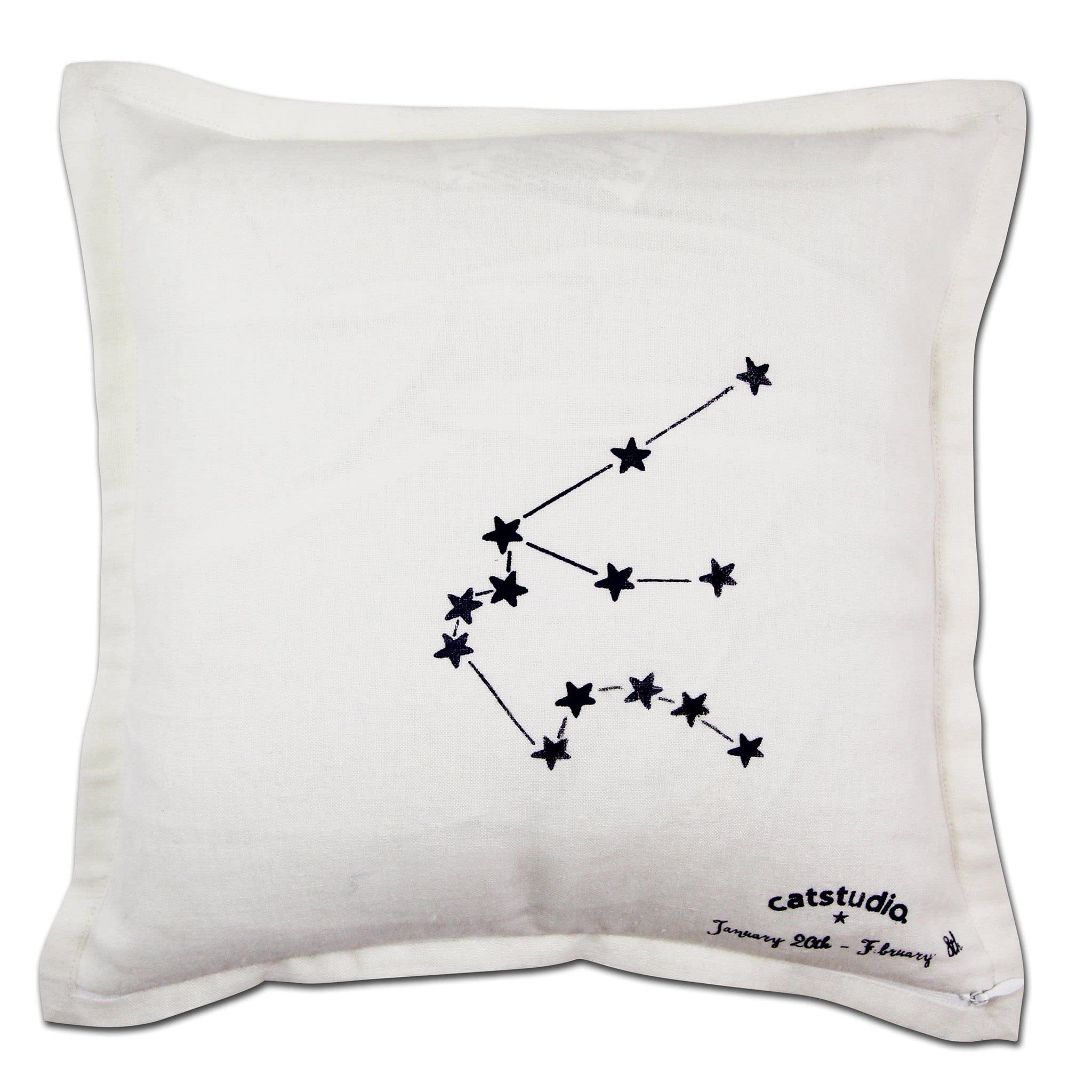 Catstudio Astrology Hand Embroidered Aquarius Zodiac Sign Pillow - Decorative Throw & Couch Pillow for January & February Birthdays - Perfect Aquarius Gift for Home Decor, Sofa, Bedroom & Living Room