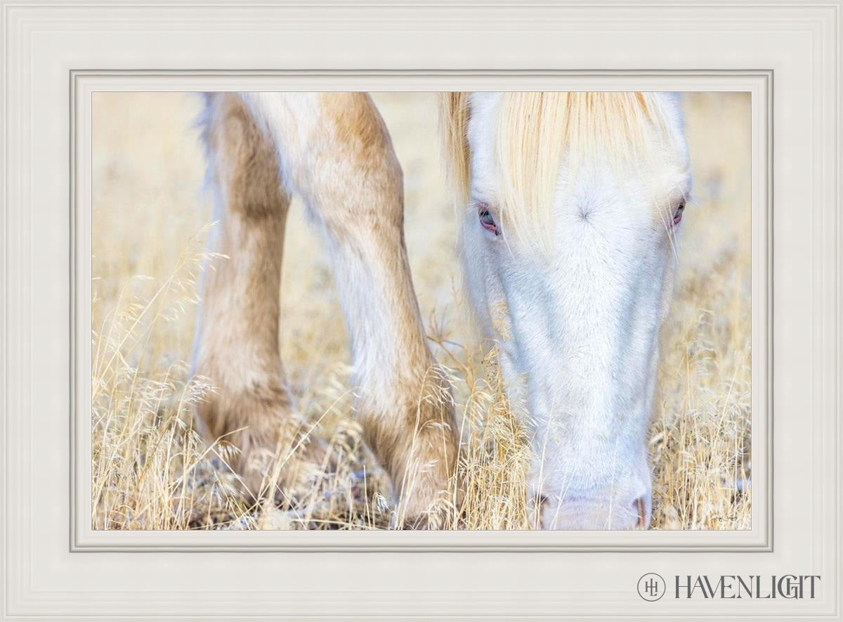 Dry Grass by Greg Sargent - Premium Handcrafted Home Decor for Rustic & Farmhouse Style - Perfect for Wall Art, Shelf Displays & Cozy Living Room Decor