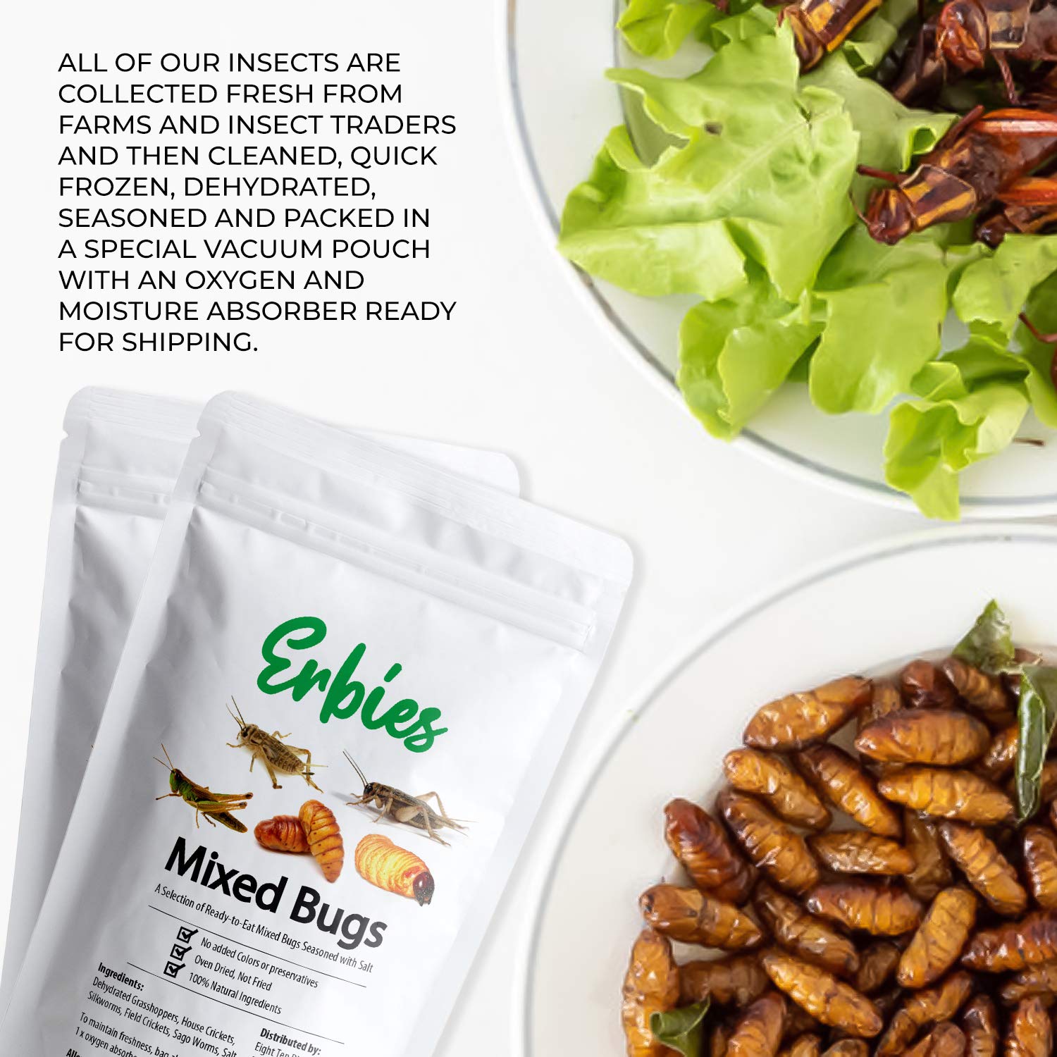 Erbies Edible Bug Trail Mix - 15g Bag of Crunchy Crickets, Grasshoppers, Silkworm Pupae & Sago Worms | High Protein Snack | Unique Gift Idea for Adventurous Eaters | Perfect for Camping, Hiking & Party Snacks