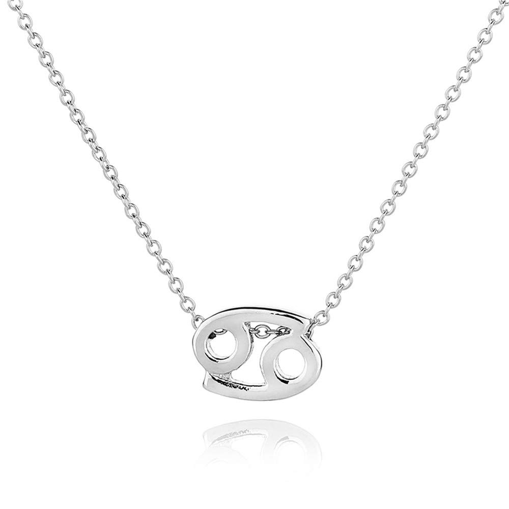 Zodiac Necklace for Women - Personalized Horoscope Constellation Pendant Jewelry, Astrology Birthday Gift for Her | Perfect for Daily Wear, Special Occasions & Gift Giving