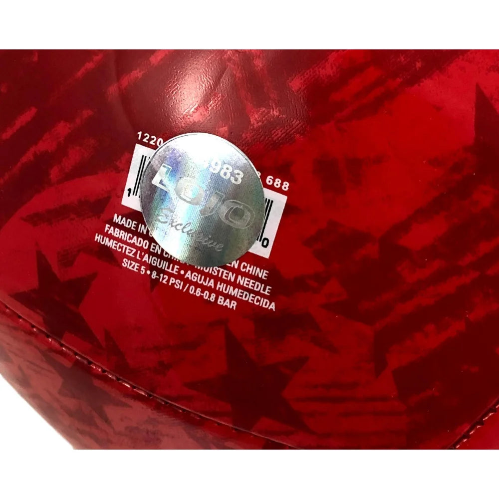 Megan Rapinoe Autographed USA Women's Soccer Ball with Golden Boot Inscription - Certified COA by Lojo - USWNT World Cup Collectible - Perfect for Soccer Fans, Memorabilia Collectors, and Sports Enthusiasts