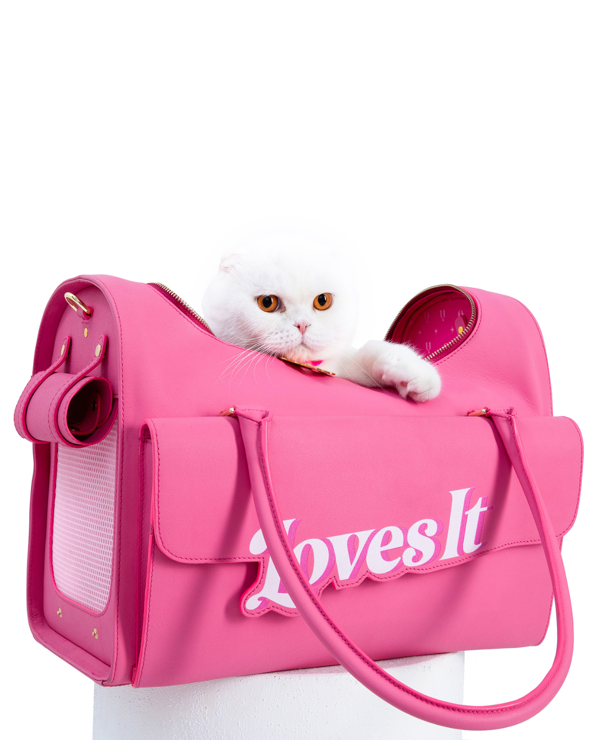 Premium Cat Carrier Backpack for Travel & Vet Visits - Comfortable, Airline Approved Pet Carrier with Breathable Mesh & Safety Leash - Ideal for Airplane, Car Rides, and Outdoor Adventures