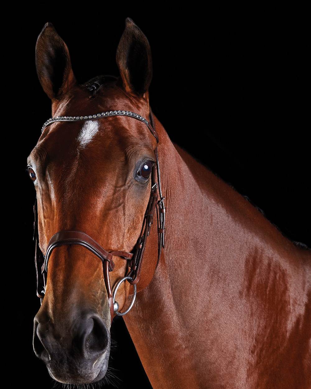 Collegiate Comfitec Crystal Bridle - Premium Horse Riding Equipment for Dressage & Show Jumping | Perfect for Equestrian Competitions & Training Sessions