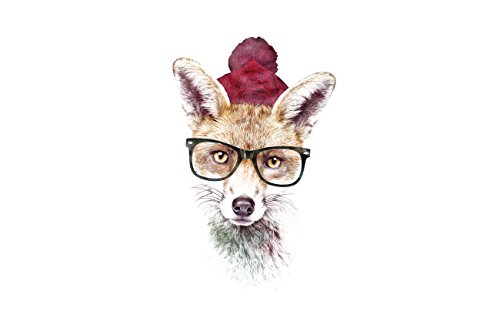 Hipster Fox