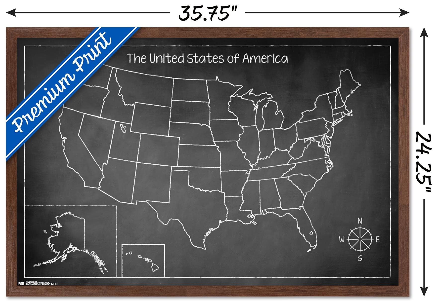 Trends International Chalk Map - USA Wall Poster, 22.375