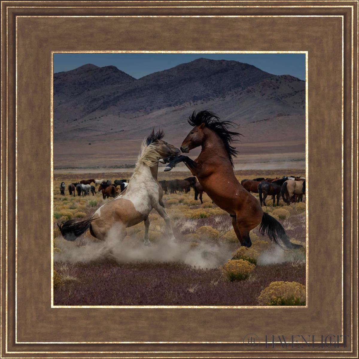 Desert Duel 5 by Greg Sargent - Western Action Novel - Perfect for Book Clubs & Cowboy Adventure Fans