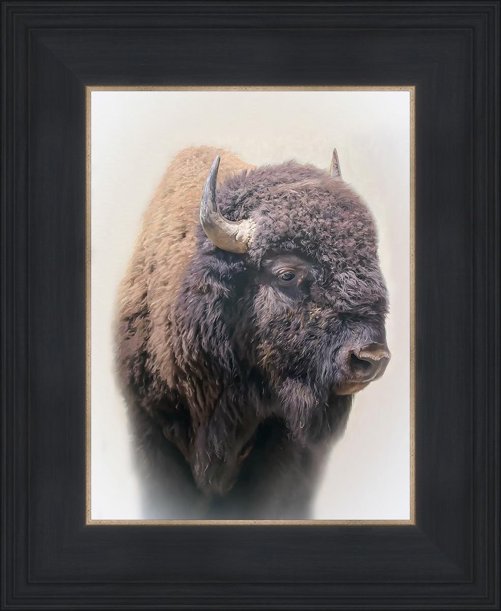 Bison By Matthew Grant | Premium Bison Meat & Jerky | High-Protein Snacks for Camping, Hiking & Outdoor Adventures