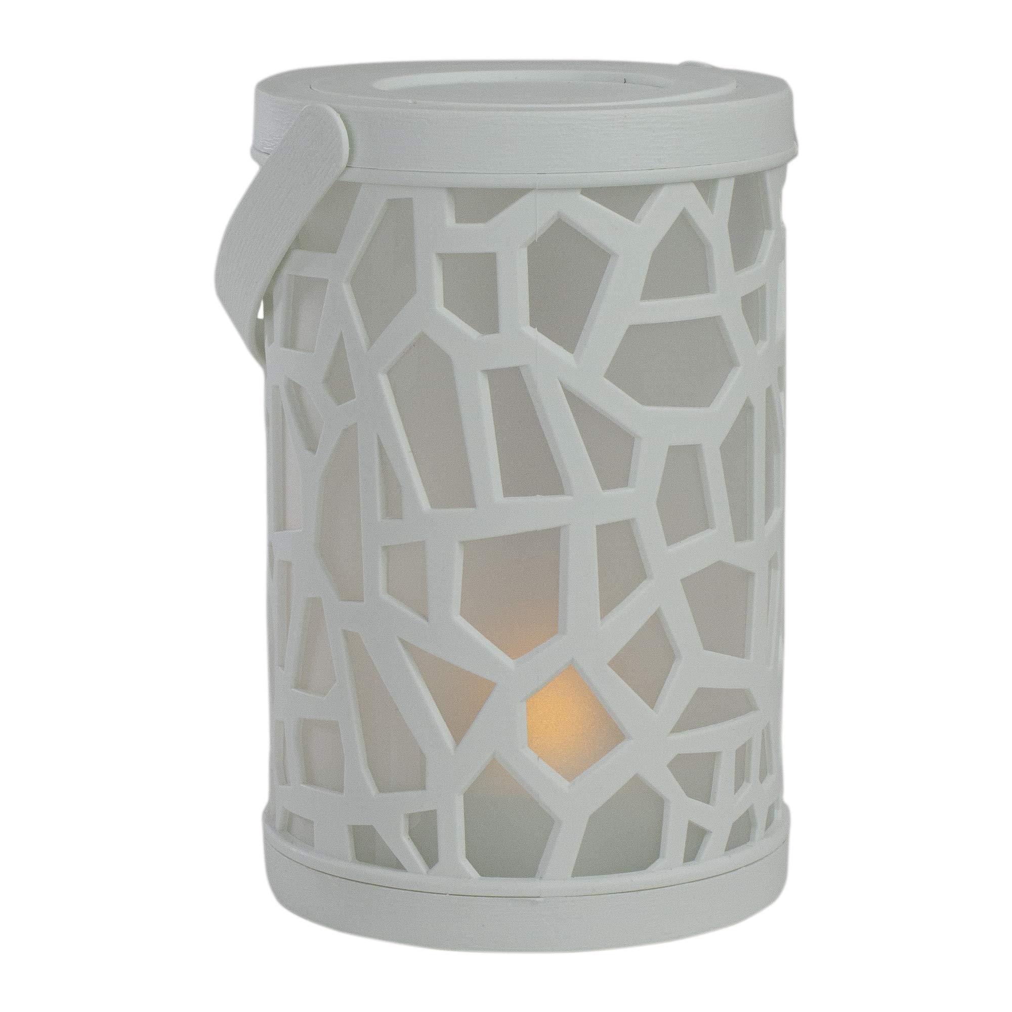 Northlight 6.5