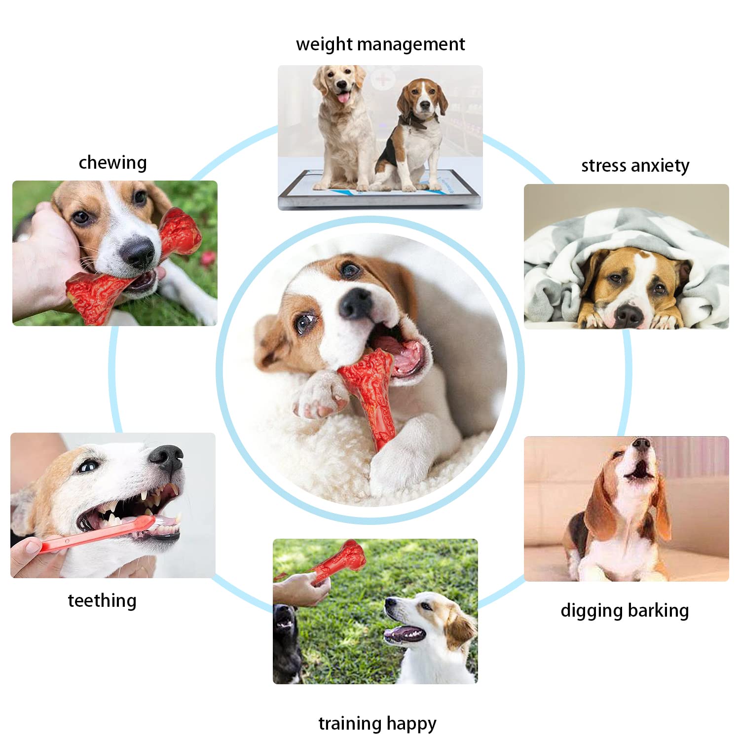 **Durable Beef-Flavored Rubber Chew Toy for Large & Aggressive Chewers – Interactive Dog Bone with Teeth Cleaning & Sound – USA-Made Dog Toy for Playtime & Training**    *(Perfect for teething puppies, strong chewers, and interactive play – keeps dogs engaged while promoting dental health!)*