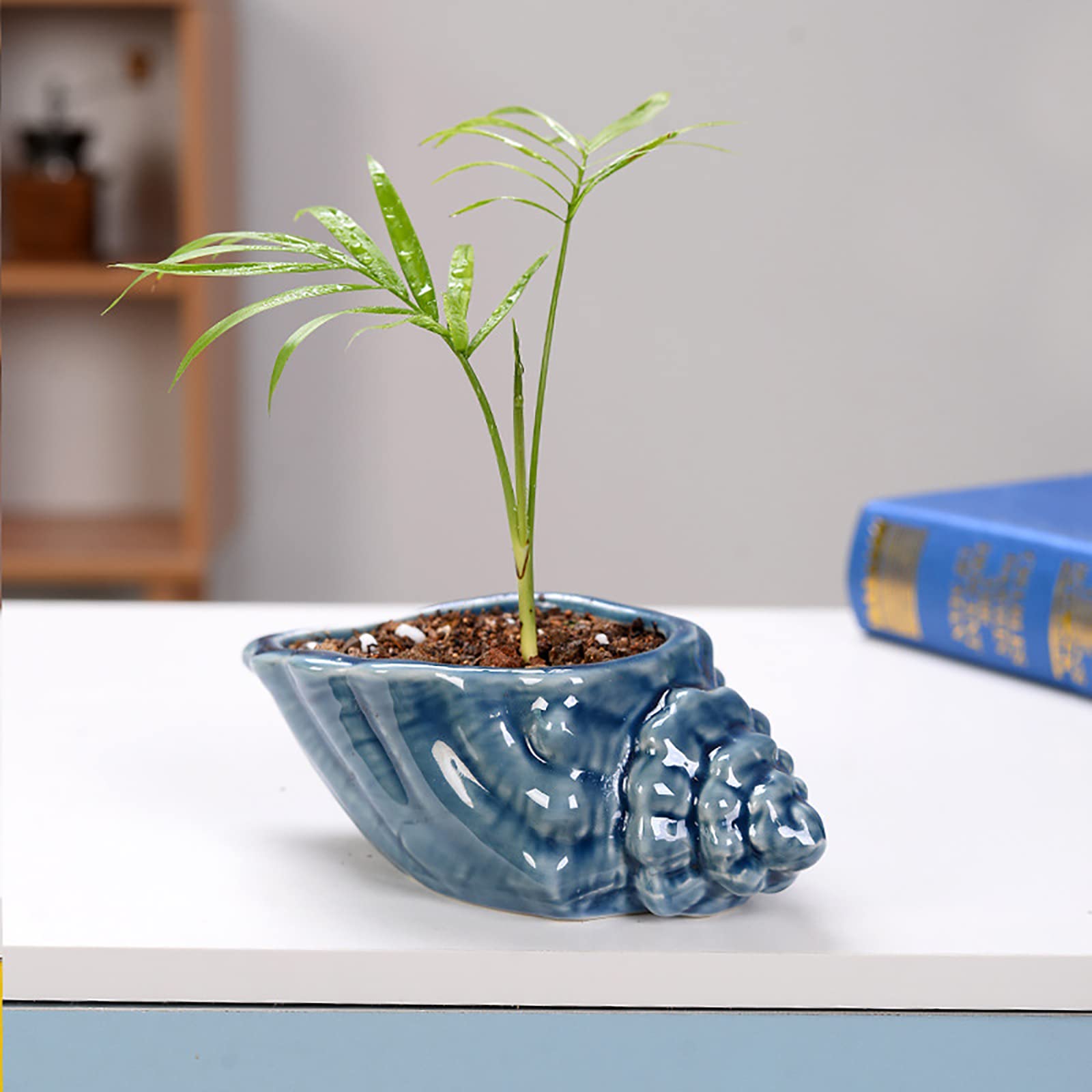 Foraineam 5.5-6.5 Inch Ceramic Succulent Plant Pots - Blue Conch Ocean Seashell Series (Set of 4) with Drainage Hole - Perfect for Indoor Cactus, Aloe Vera & Small Plants - Home, Office & Garden Decor