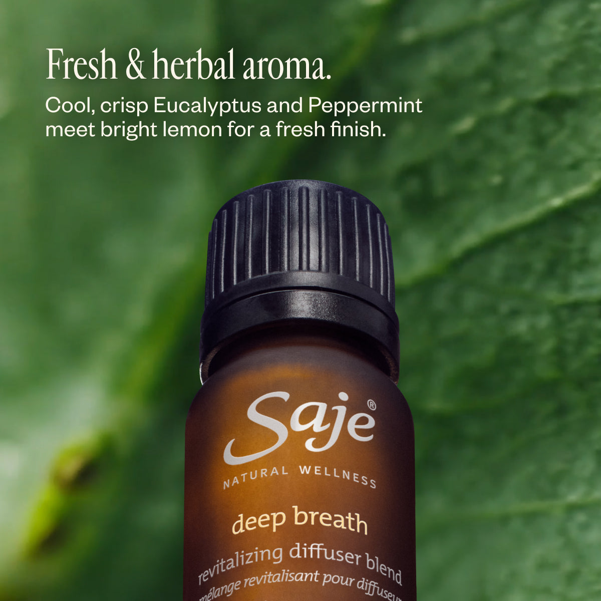 Deep Breath Revitalizing Essential Oil Diffuser Blend - Relaxing Aromatherapy for Stress Relief & Better Sleep
