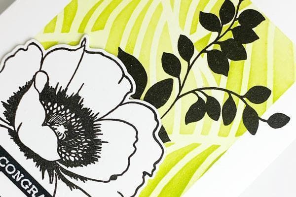 Quick & Simple DIY Greeting Cards - Online Cardmaking Class for Beginners | Perfect for Birthdays, Holidays & Special Occasions