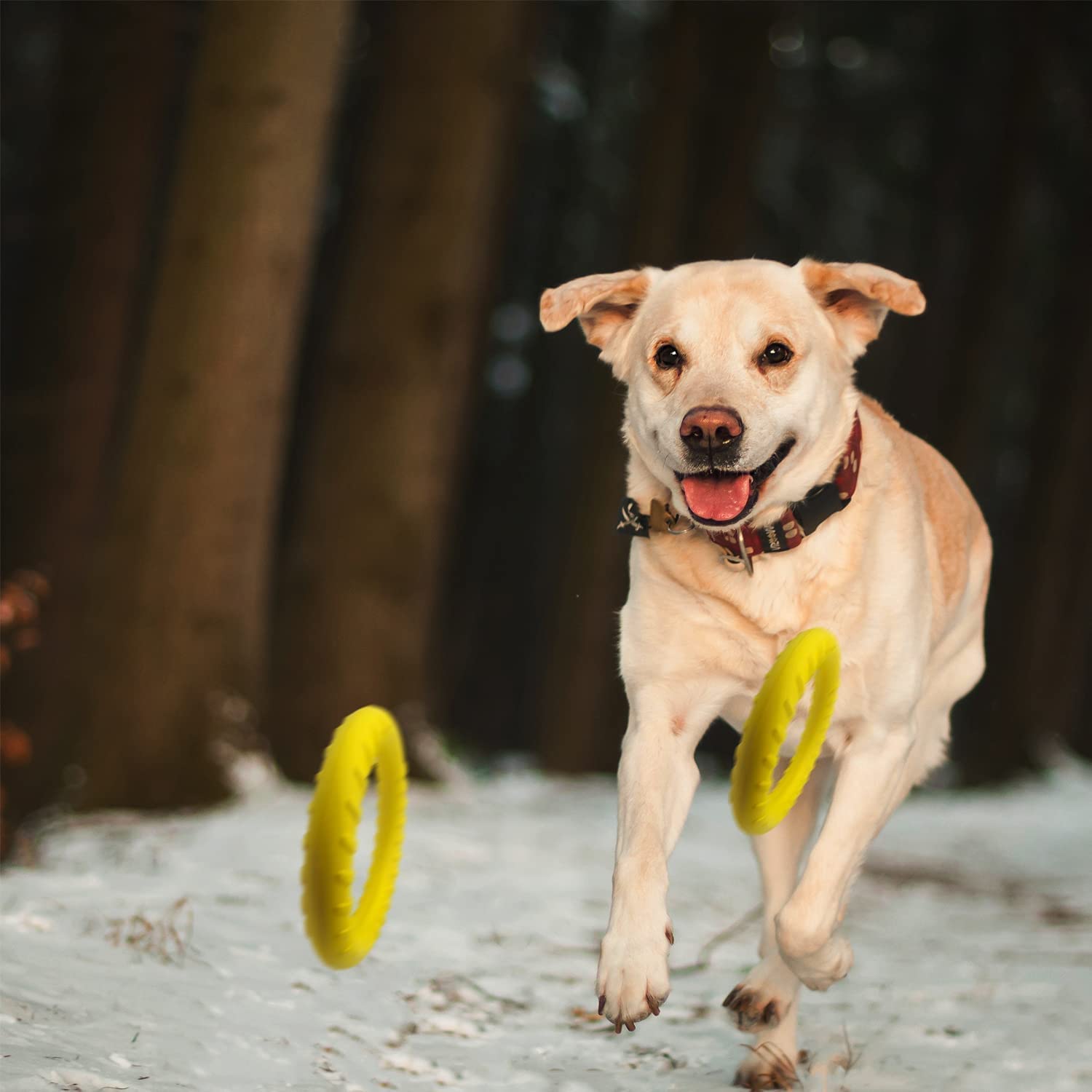 Durable Floating Dog Frisbee - Indestructible Chew Toy for Small & Medium Dogs, Perfect for Pool, Beach, Outdoor & Indoor Play - Great for Fetch, Training, Swimming & Water Games