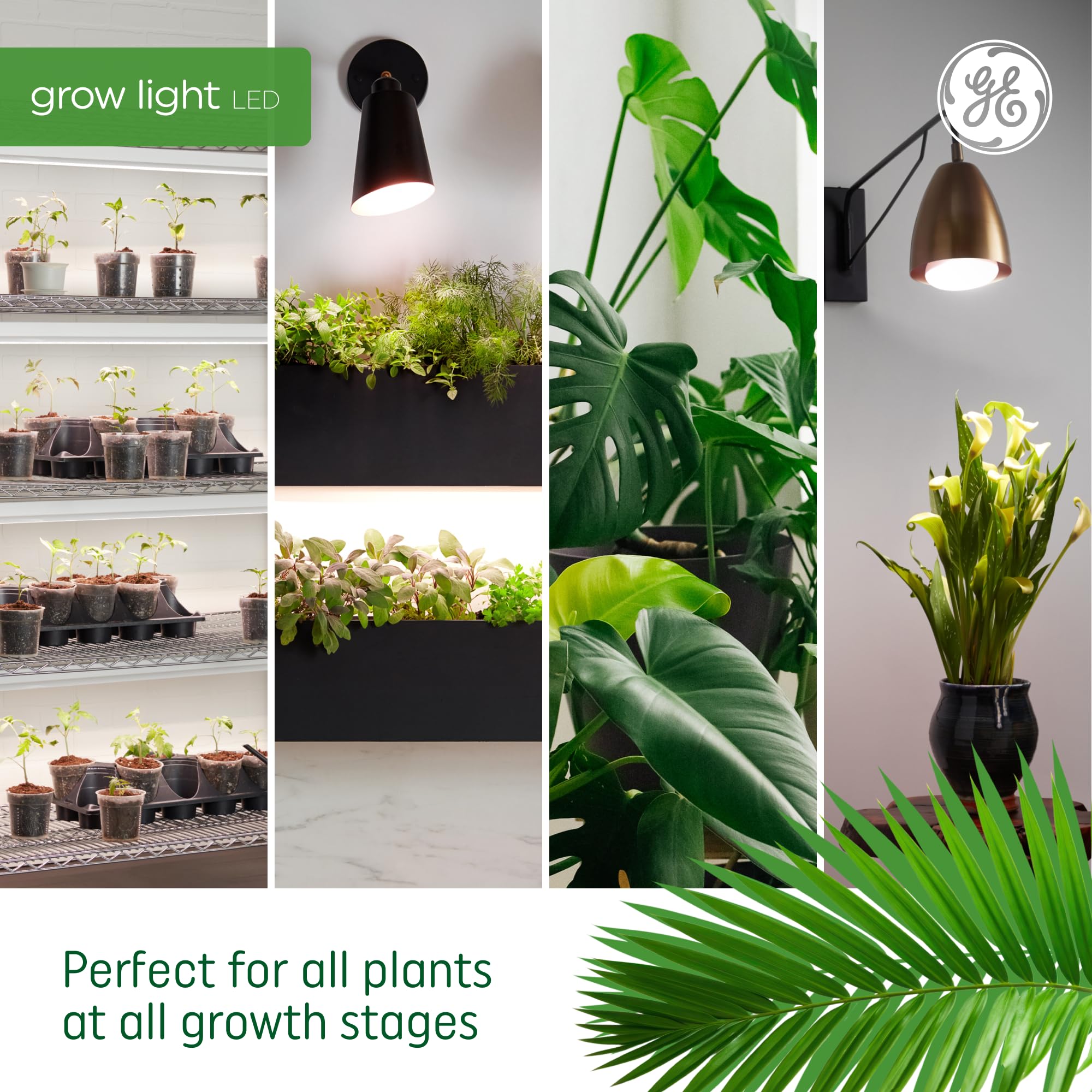 GE T8 LED Grow Lights for Indoor Plants - Full Spectrum with Advanced Red Light for Flowers & Fruits, 34 PPF, 48 Inch (6 Pack) - Perfect for Hydroponics, Greenhouses & Home Gardening (25,000 Hours Lifespan)