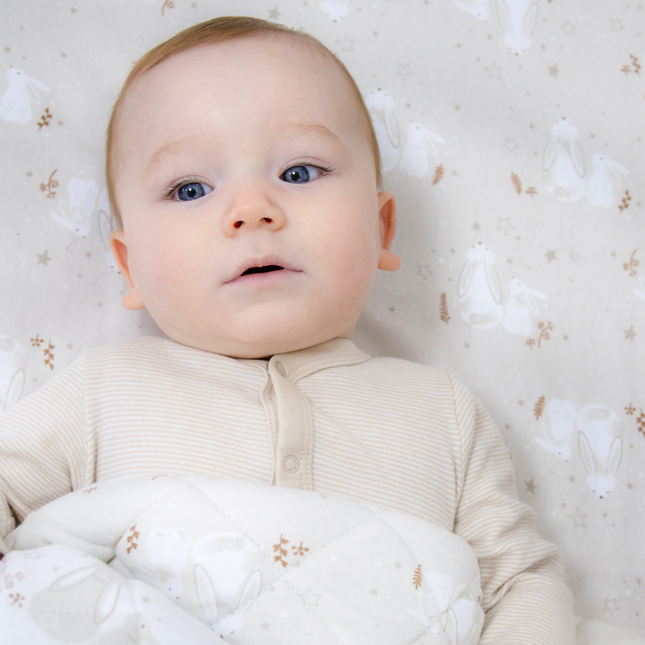 Bunny Dreams Jersey Cot Fitted Sheet - Soft Baby Crib Sheet for Nursery, Daycare & Travel - Perfect for Toddlers & Infants