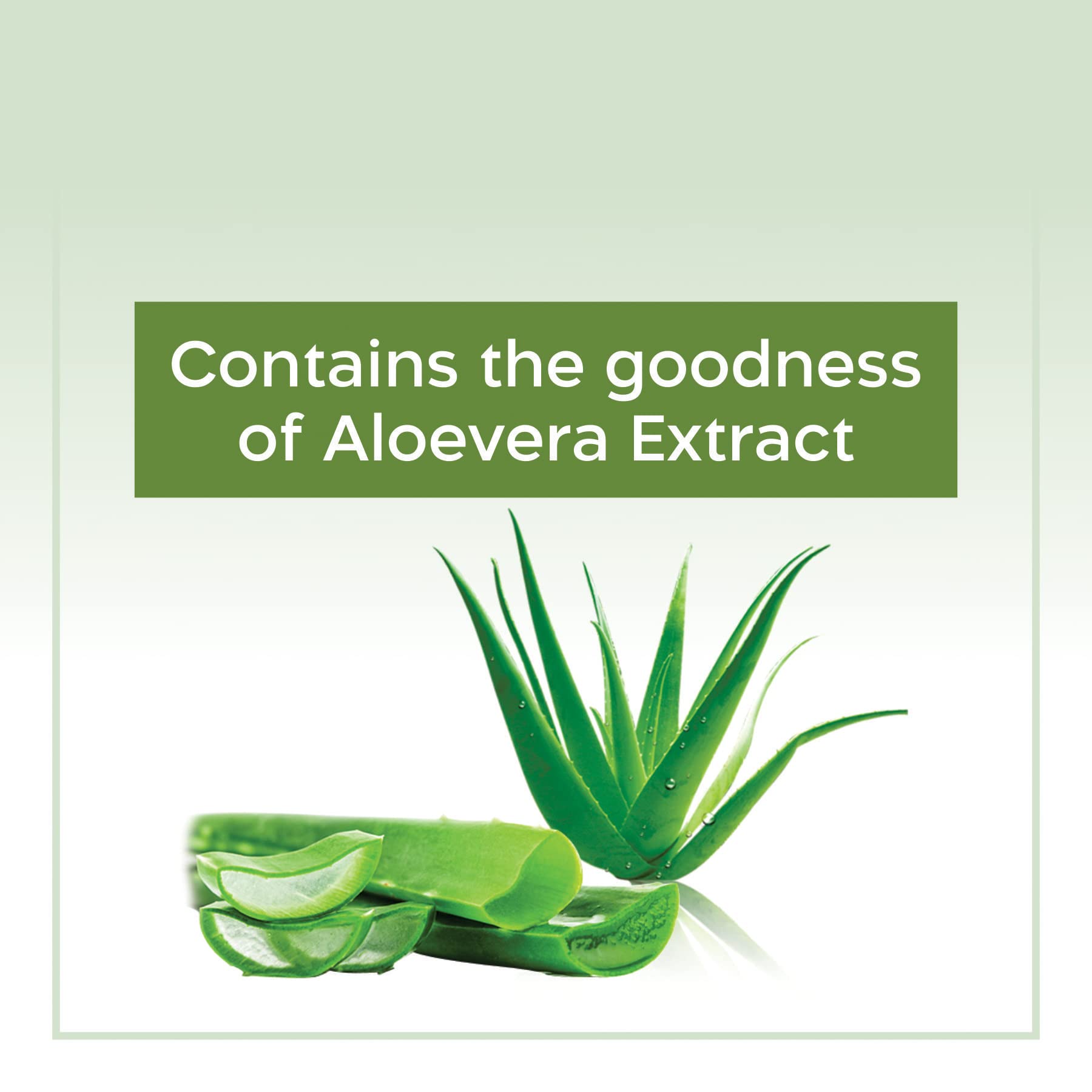 Beeone Aloe Vera Cleansing Milk - 500ml | Gentle Face Wash for Dry & Sensitive Skin | Hydrating & Soothing Facial Cleanser | Perfect for Daily Skincare Routine & Makeup Removal
