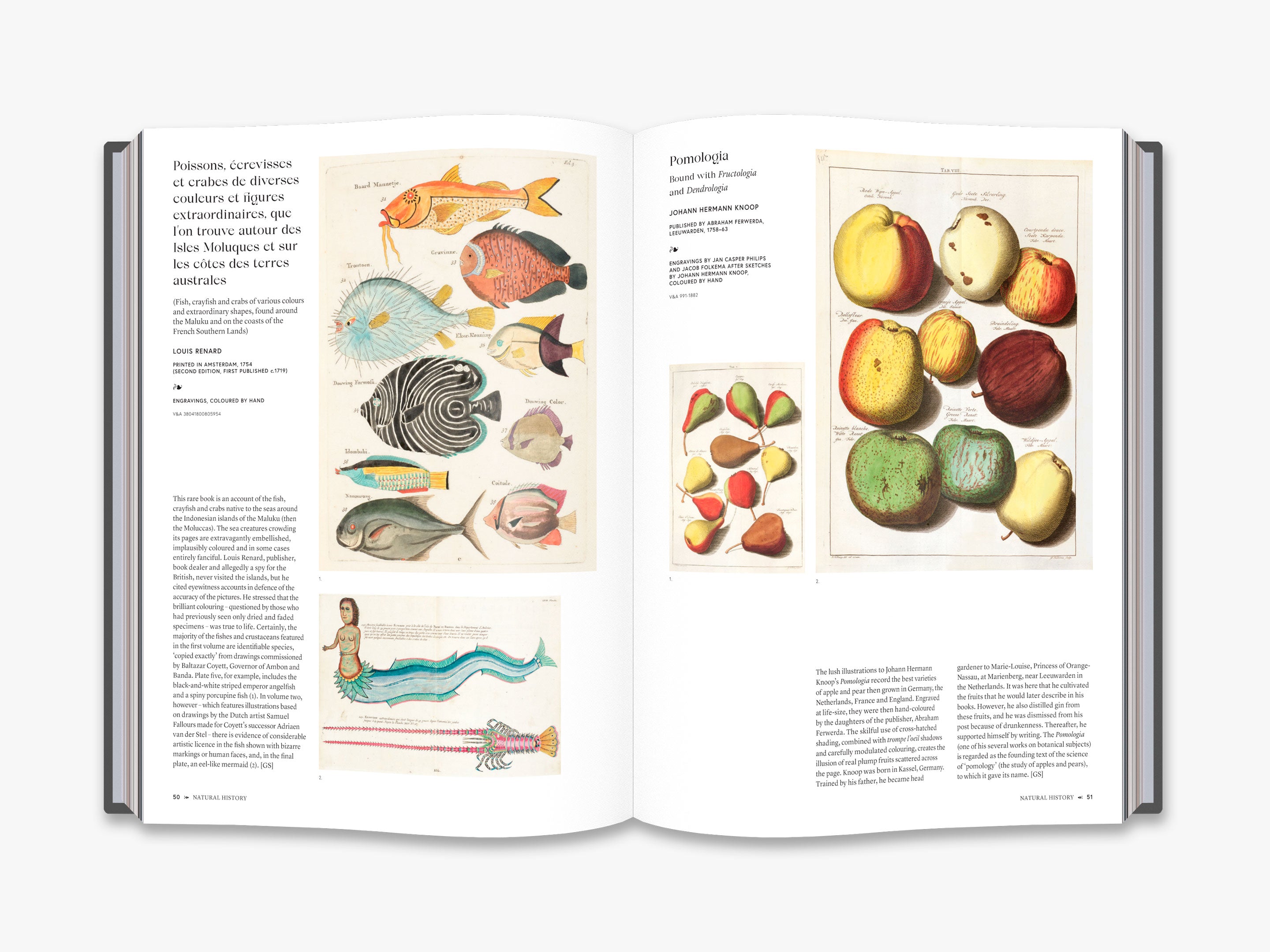 The Art of the Illustrated Book - Victoria and Albert Museum Collection | Beautiful Hardcover Art Books for Collectors, Gift Ideas & Home Decor