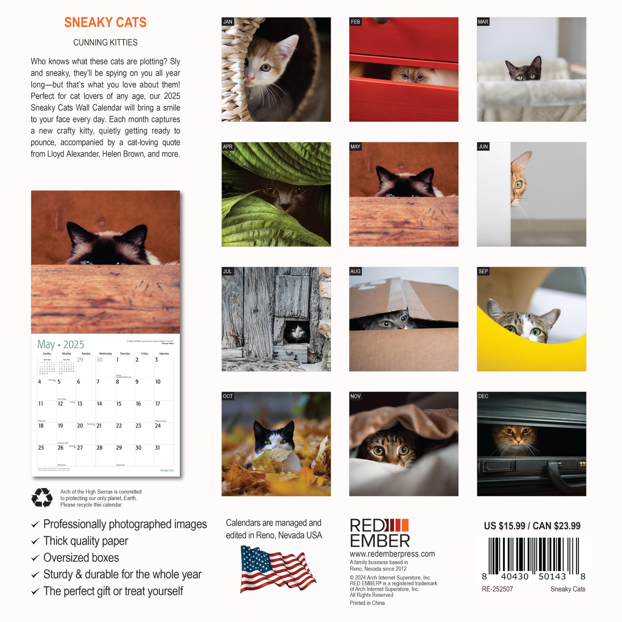 RED EMBER Sneaky Cats 2025 Wall Calendar - 12 Month Large 12