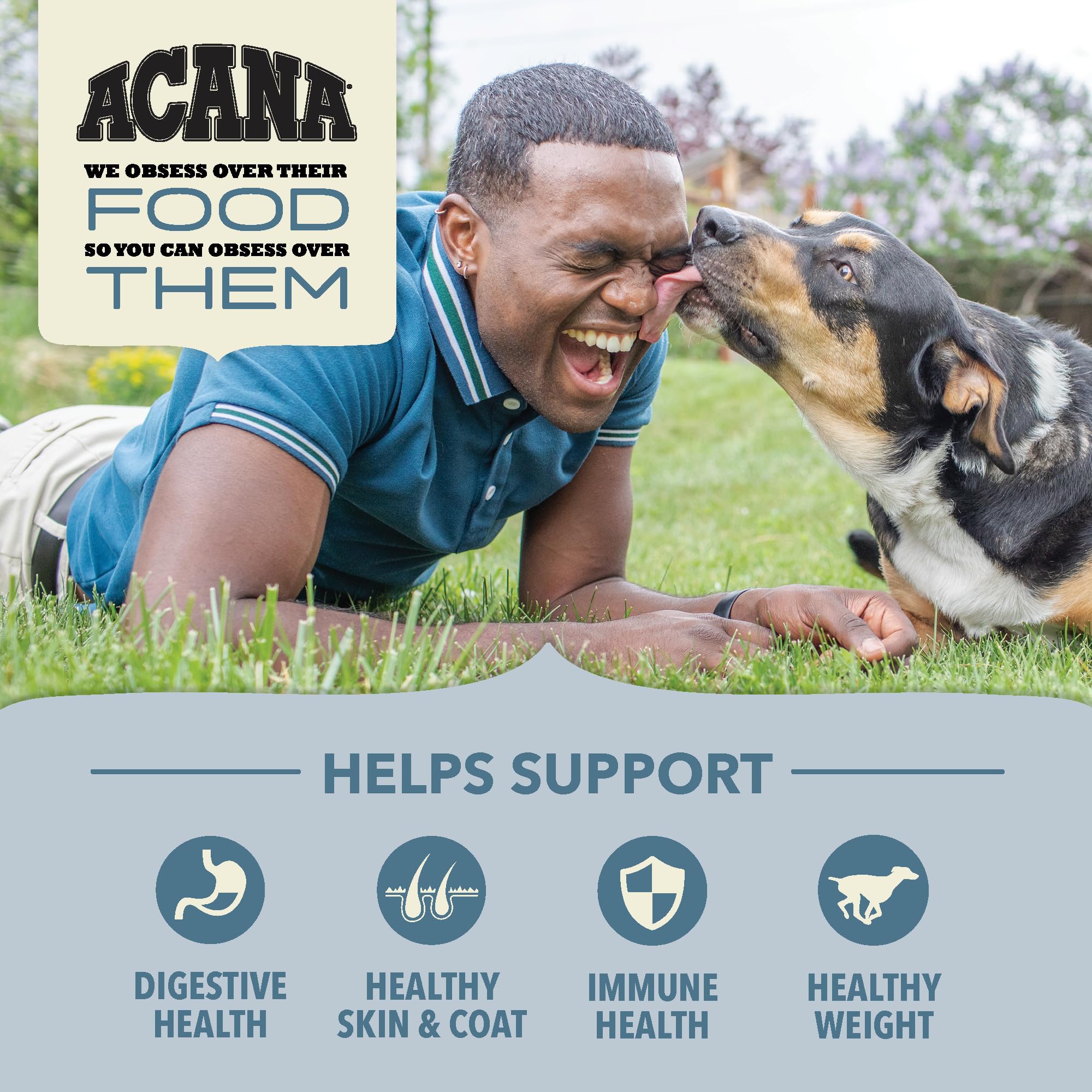 ACANA Wholesome Grains Dry Dog Food - Sea to Stream Recipe with Saltwater & Freshwater Fish & Grains - 22.5lb Bag - High Protein Grain-Inclusive Nutrition for Active Dogs - Perfect for Outdoor Adventures & Daily Feeding