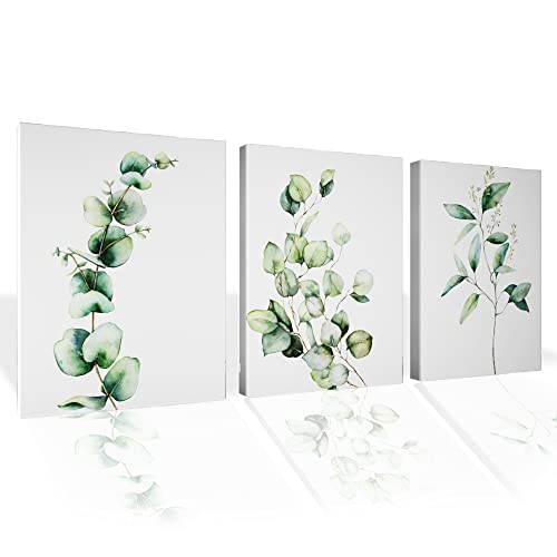 Eucalyptus Canvas