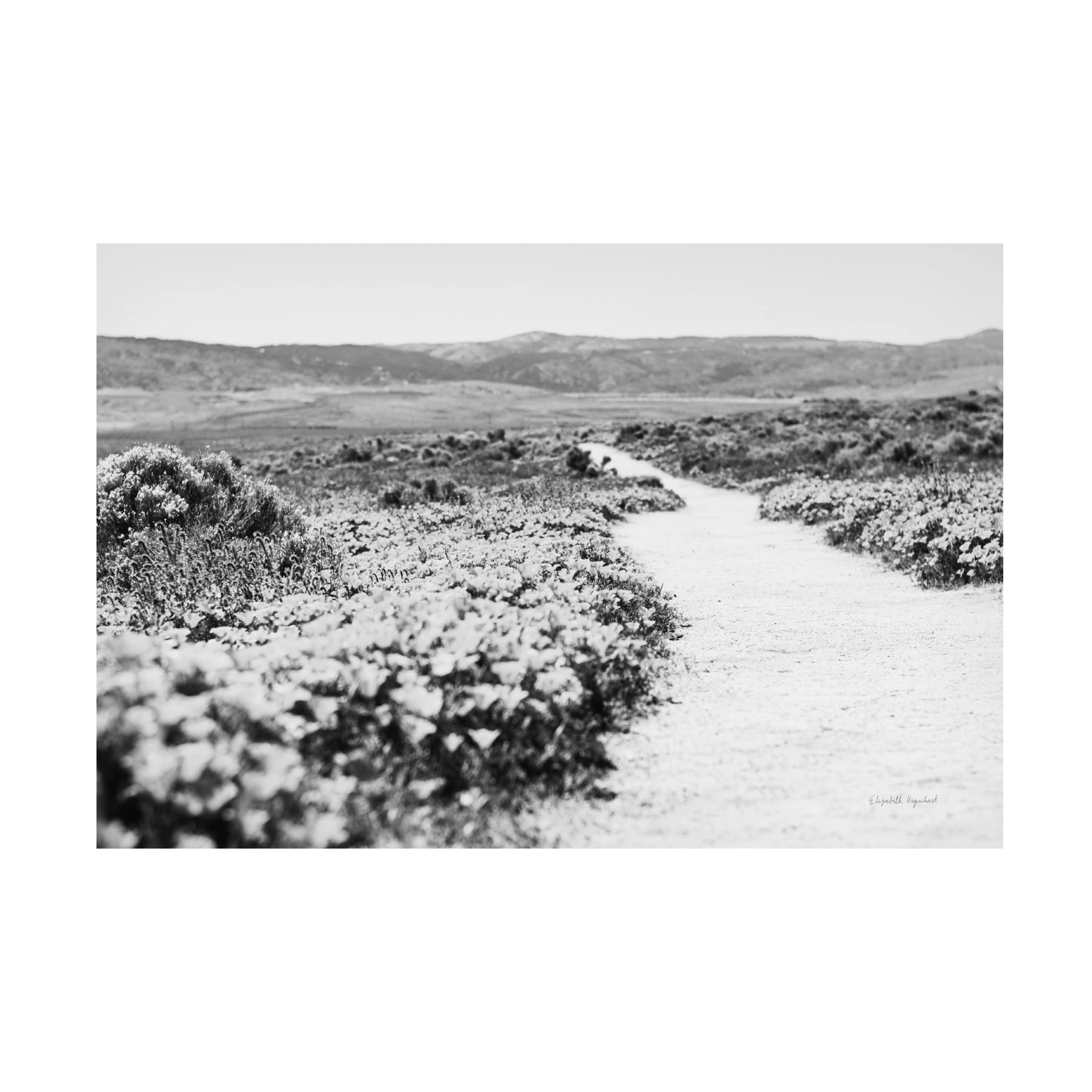 Road Trip VI Canvas Art by Elizabeth Urquhart - Wall Decor for Living Room