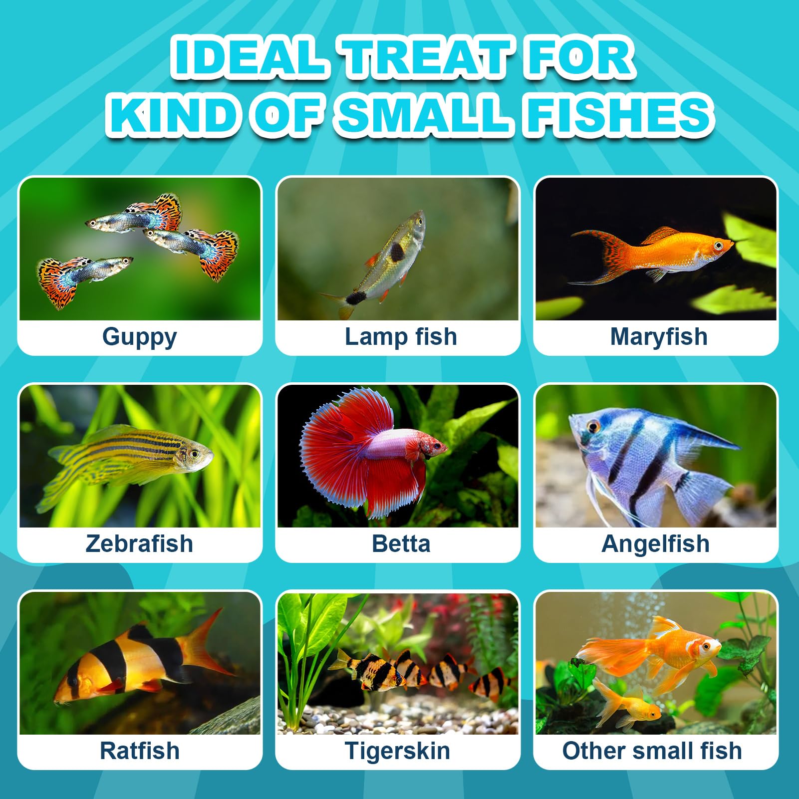 Premium Micro Pellets Fish Food - All Natural Protein Rich Diet for Betta, Guppy, Angelfish & Zebrafish | Color Enhancing Tropical Fish Food (2.8oz) | Ideal for Daily Feeding & Aquarium Maintenance