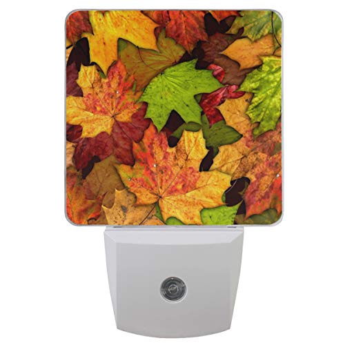 Thanksgiving Maple Yellow
