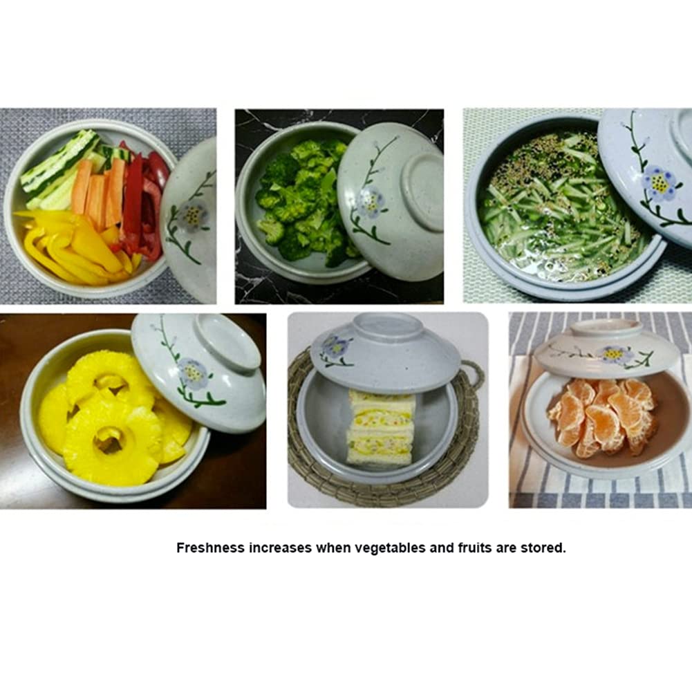 Nonstick Microwave Grill Pan - Korean Traditional Ceramic Coating, Made in Korea (Large) - Perfect for Quick Meals, Healthy Cooking & Small Kitchen Spaces