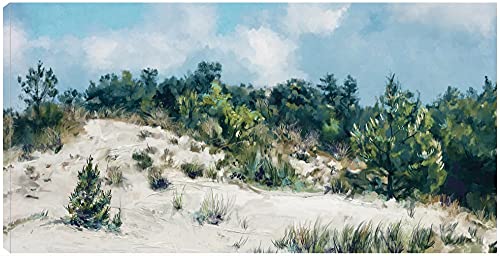 Dunescape
