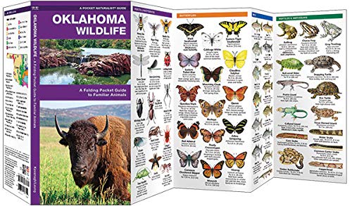 Oklahoma Wildlife Guide: Folding Pocket Book for Familiar Animals Identification & Nature Observation in North America - Perfect for Hiking, Camping & Outdoor Adventures