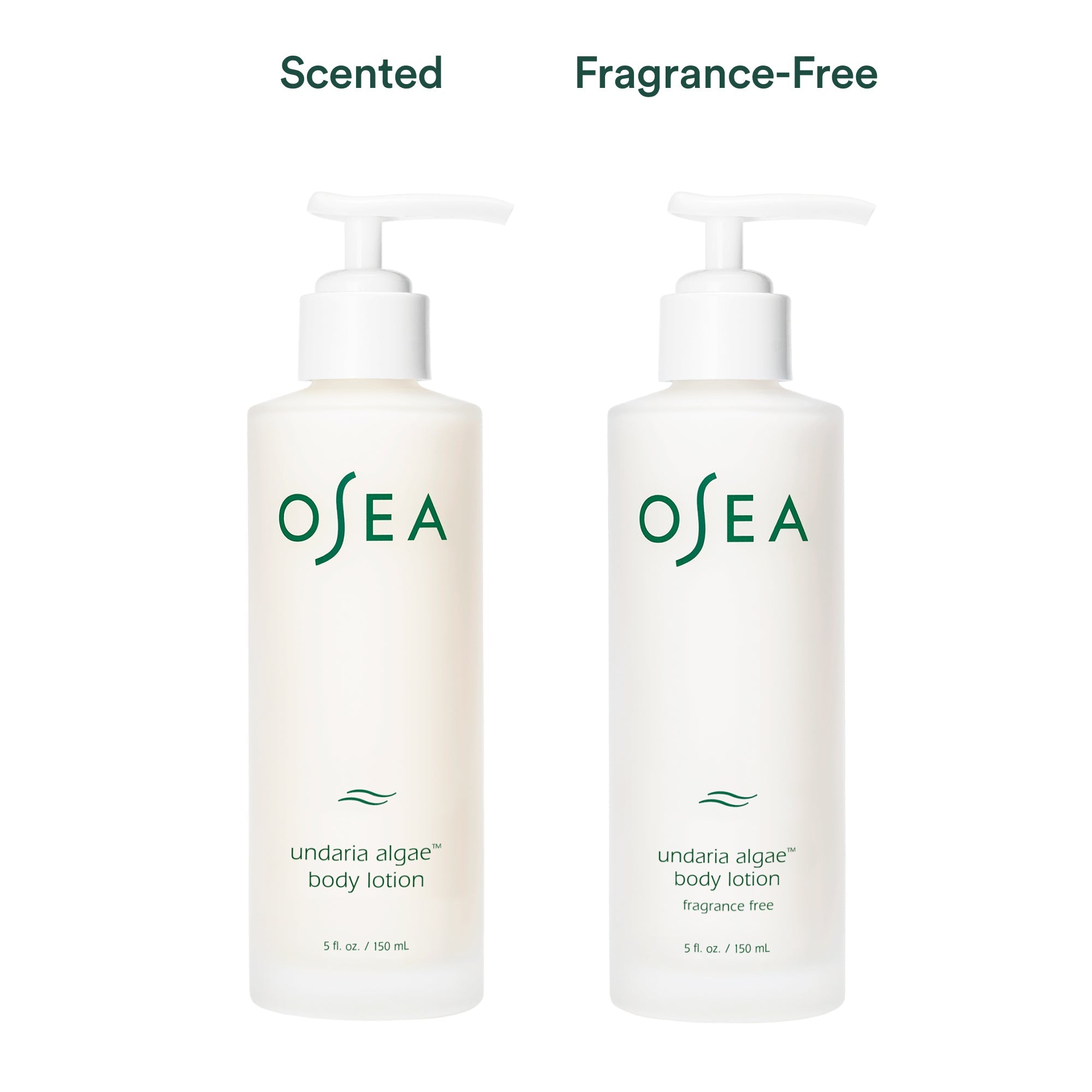 Undaria Algae™ Body Lotion - Hydrating & Nourishing Skin Care for Dry Skin - Perfect for Daily Moisturizing & After-Sun Care