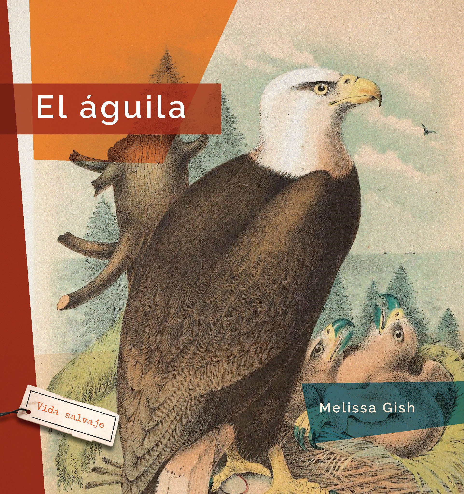 El Guila 9781640267398 - Authentic Latin American Novel for Book Lovers & Literature Enthusiasts | Perfect for Book Clubs, Gifts & Home Libraries