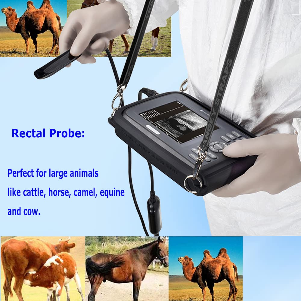 5.5 Inch Portable Handheld Veterinary Ultrasound Scanner with Rectal Probe - Animal Pregnancy Detector for Cattle, Horses, Camels & Livestock | Farm & Ranch Veterinary Equipment for Breeding & Pregnancy Diagnosis