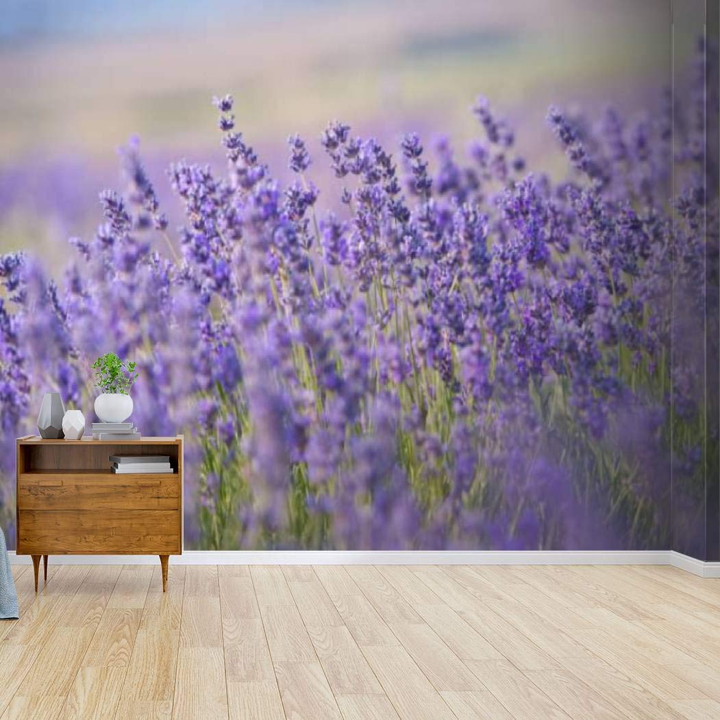 Kanworse Lavender Flowers Sunset Over Purple Field - Self-Adhesive Peel & Stick Wallpaper Mural, Canvas Print Wall Decal for Living Room, Bedroom, Home Decor | Easy DIY Wall Art, Removable Home Craft Sticker