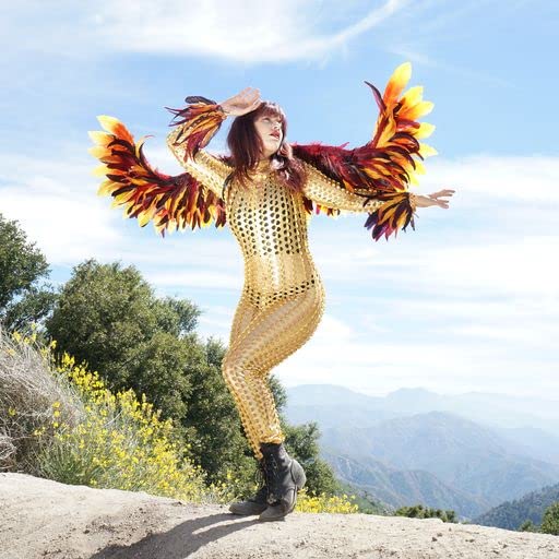 ZUCKER Phoenix Firebird Feather Wings - Adjustable Cosplay Costume Accessories for Adults | Halloween, Dance, Festivals, Raves | Perfect for Cosplay Events, Costume Parties & Themed Performances