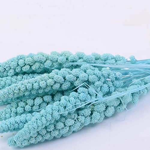 Tiffany Blue