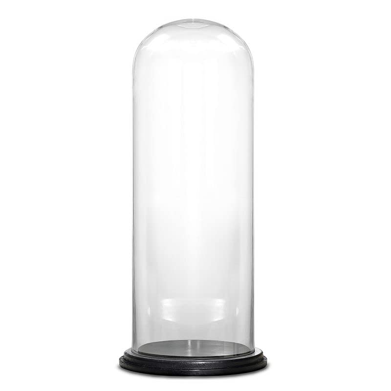 Glass Dome Cloche Bell Jar Terrarium with Black Wood Base - 21.75 Inch Height - Set of 2 - Perfect for Wedding Centerpieces, Event Decor & Home Display - Ideal for Succulents, Air Plants or Floral Arrangements