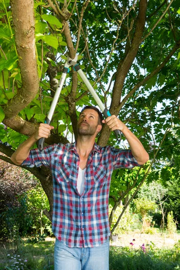 Gardena EasyCut 500 B Pruning Lopper - 20 Inch Professional Garden Shears for Tree Trimming & Branch Cutting | Perfect for Landscaping, Yard Maintenance & Outdoor Gardening