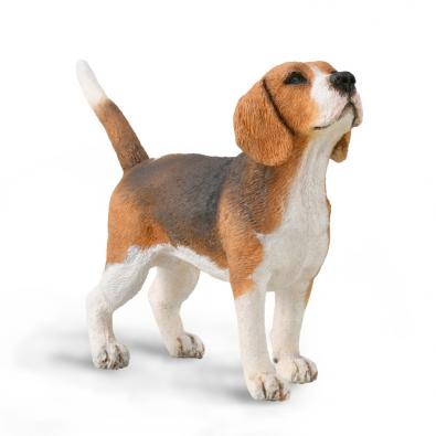 CollectA Beagle Dog Figurine - Realistic Hand-Painted Toy Dog Model for Kids & Collectors | Perfect for Playtime, Home Decor, and Educational Animal Recognition
