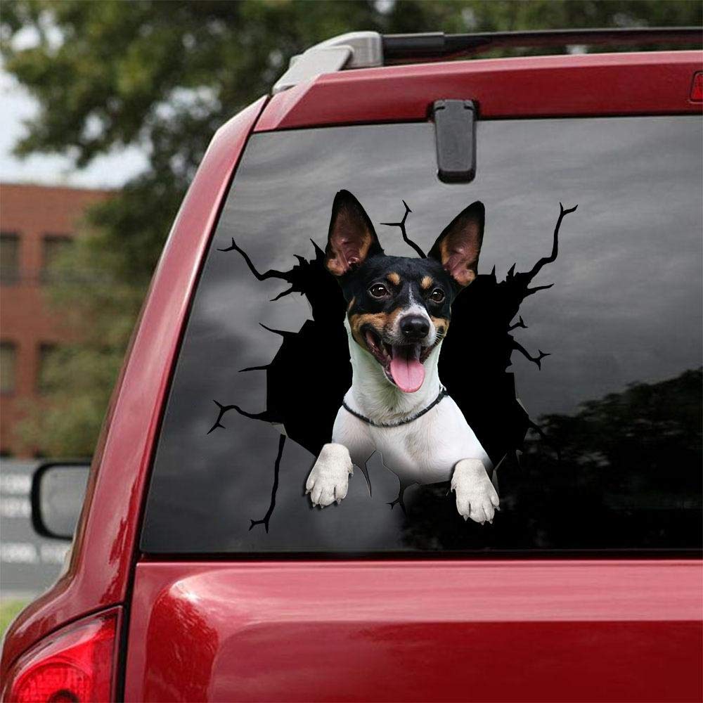 Rat Terrier Car Stickers Pack of 2 - 8