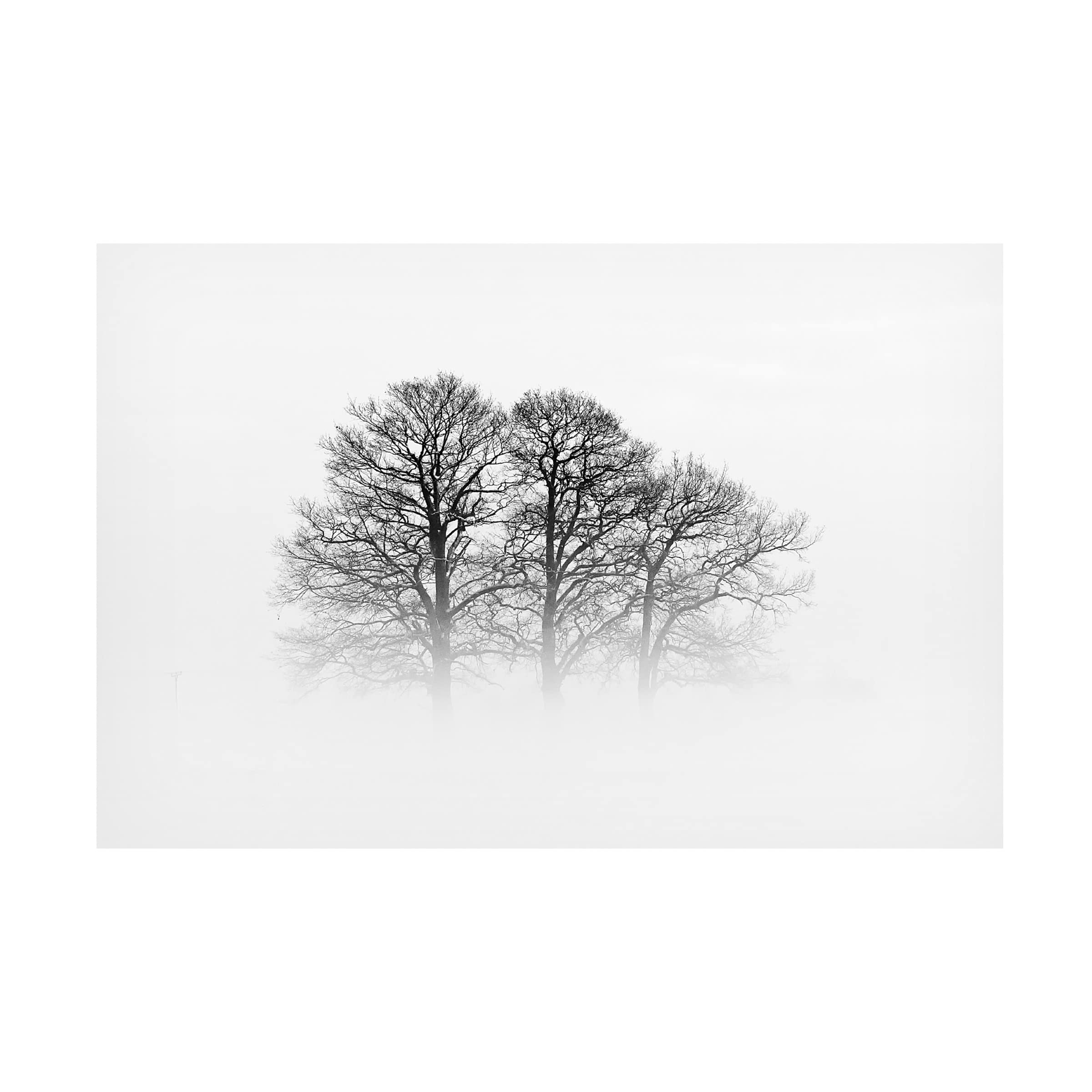 Oliver Buchmann 'A Hazy Shade of Winter' Canvas Wall Art Print - Modern Landscape Painting for Living Room, Bedroom & Office Decor