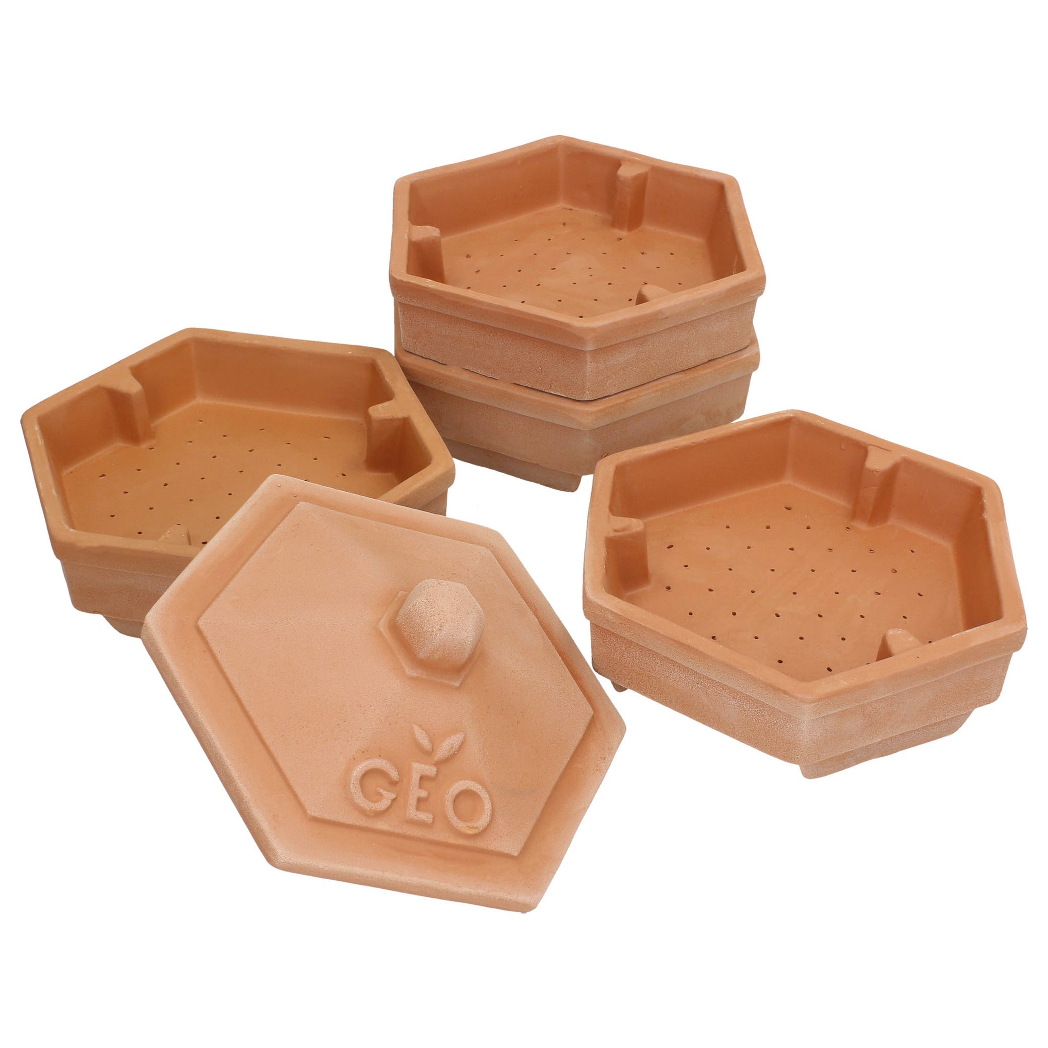 Organic 4-Tier Terracotta Sprouter - GEO Terradisiena Refurbished | Seed & Microgreen Growing Kit | Perfect for Indoor Herb Garden, Kitchen Countertop & Healthy Sprouting