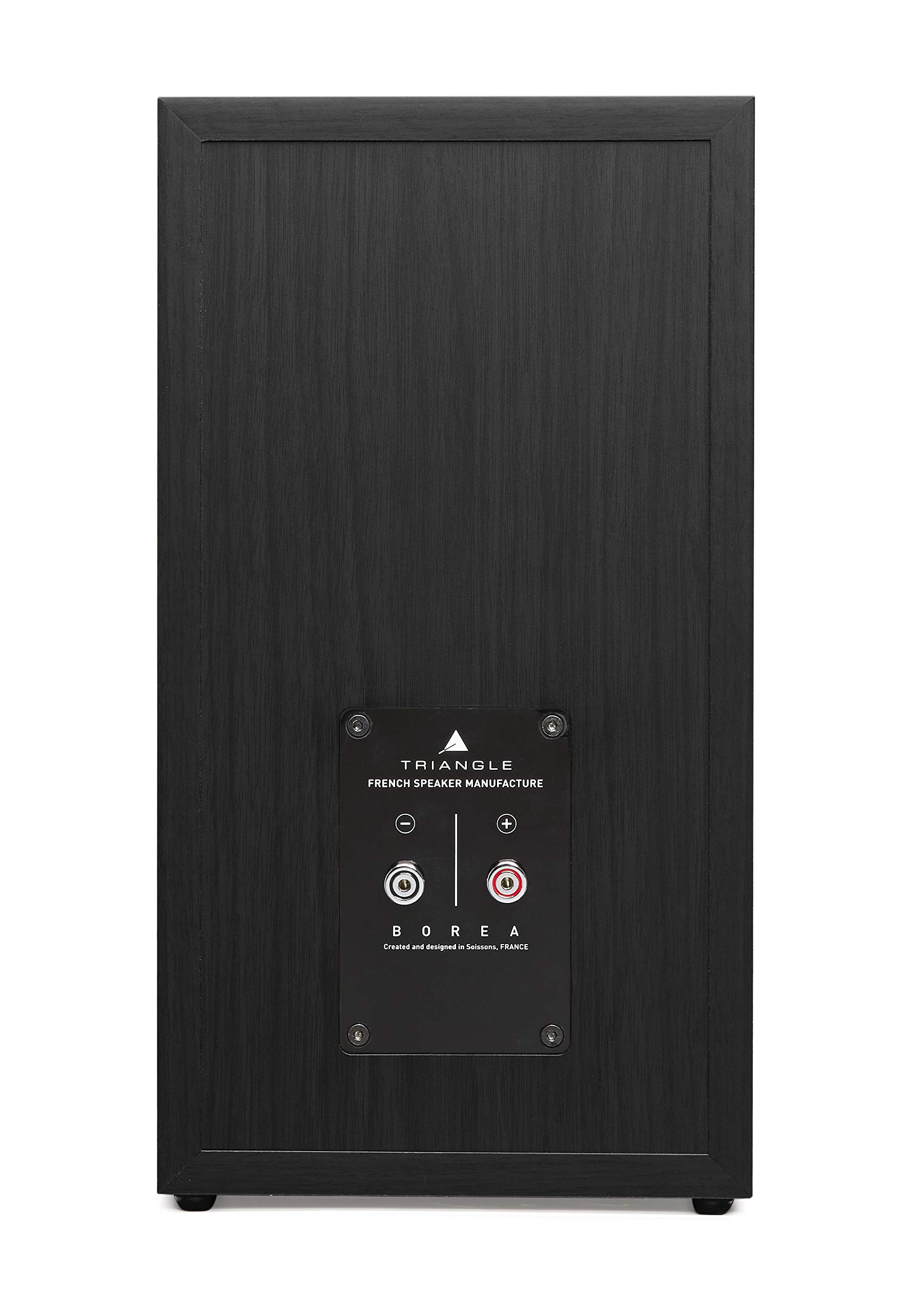Borea BR03 Hi-Fi Bookshelf Speakers - Premium Triangle Audio Bookshelf Speakers for Home Theater & Music (Black Ash, Pair) - Perfect for Living Room, Studio & Audiophile Setup