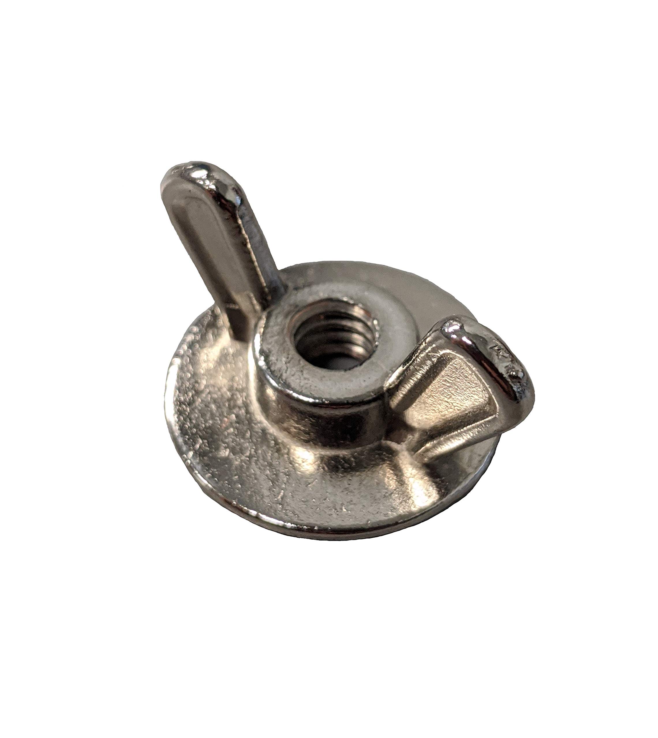 1/4-20 Wing Nuts (100-Piece Pack) - Stainless Steel Hurricane Hardware for Outdoor Furniture, Playground Equipment & DIY Projects