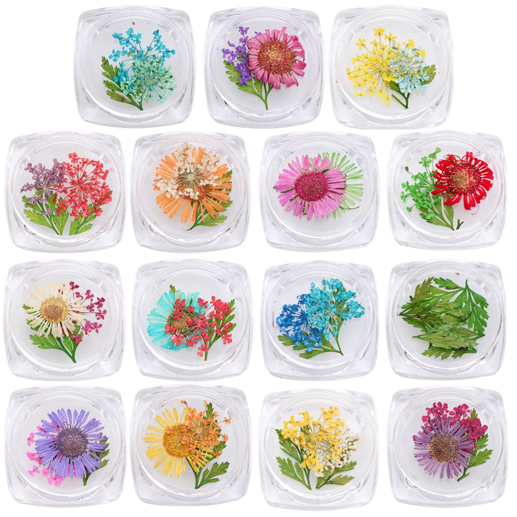 CACAZI 15 Boxes Assorted Nail Art Flowers - Creative Nail Decorations for DIY Manicure, Nail Art Accessories, Dried Floral Nail Embellishments | Perfect for Salon, Home Nail Art, Wedding & Party Designs