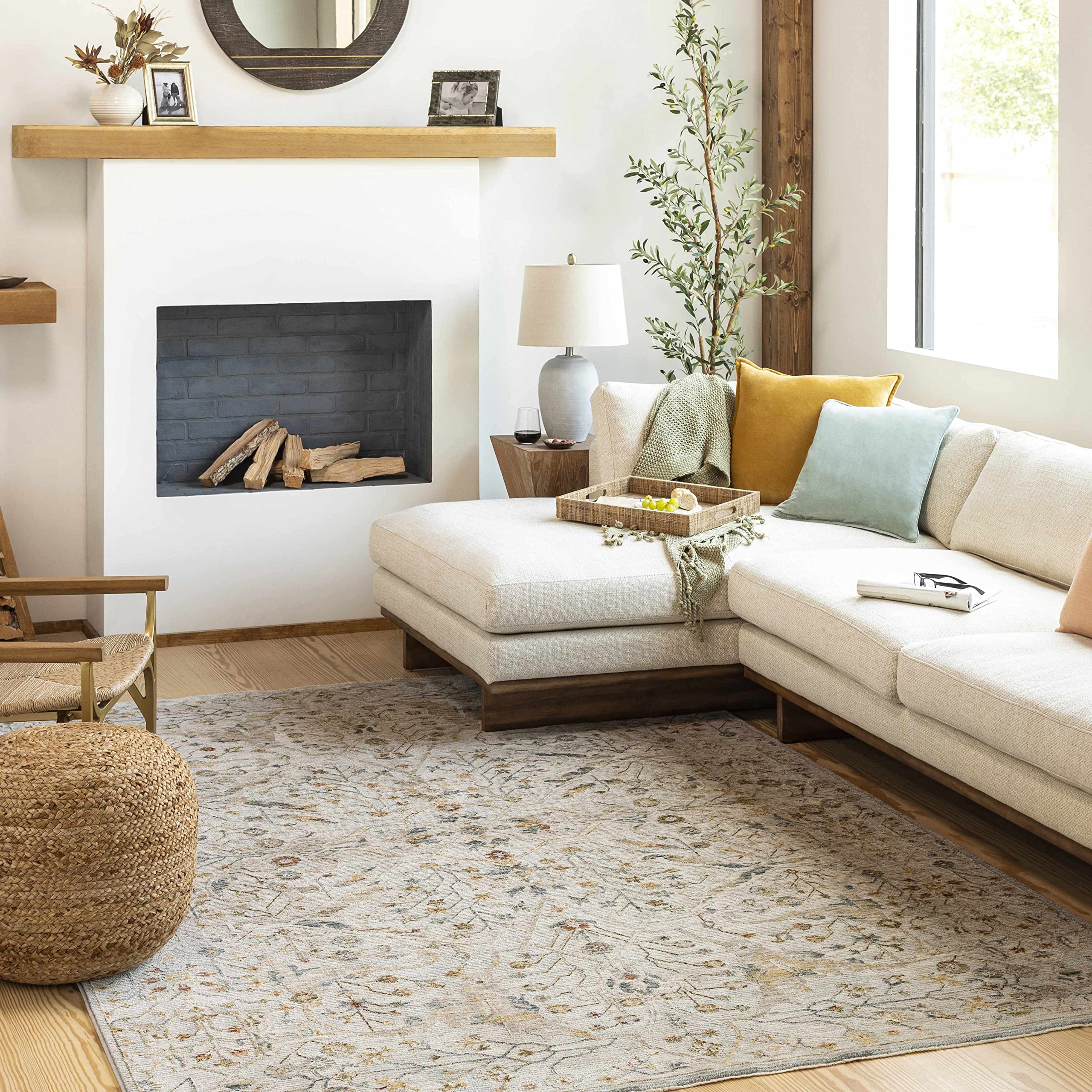 Hauteloom Kabungahan Soft Plush Area Rug for Living Room & Bedroom - 5' x 7'5