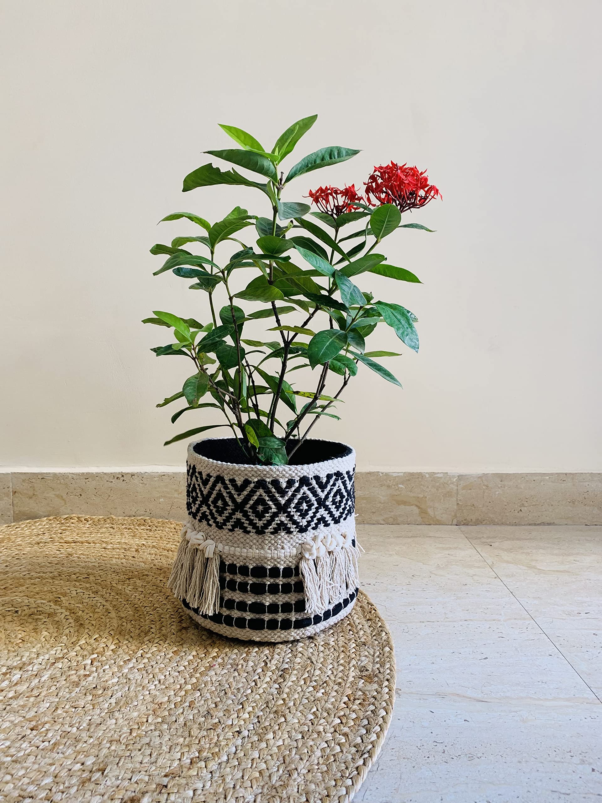 Boho Handwoven Plant Basket - 9